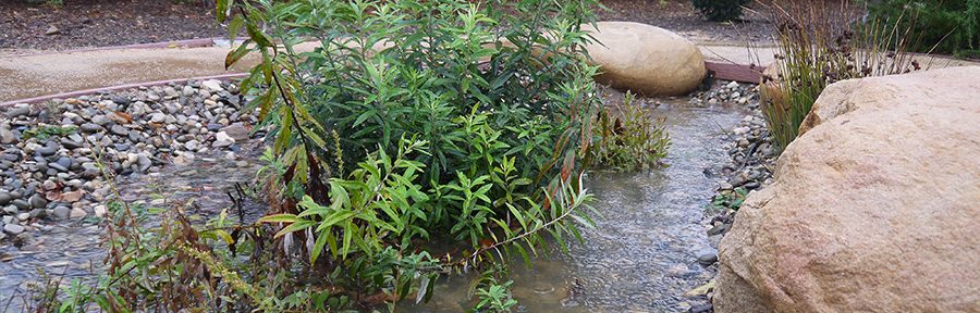 Demonstration Garden