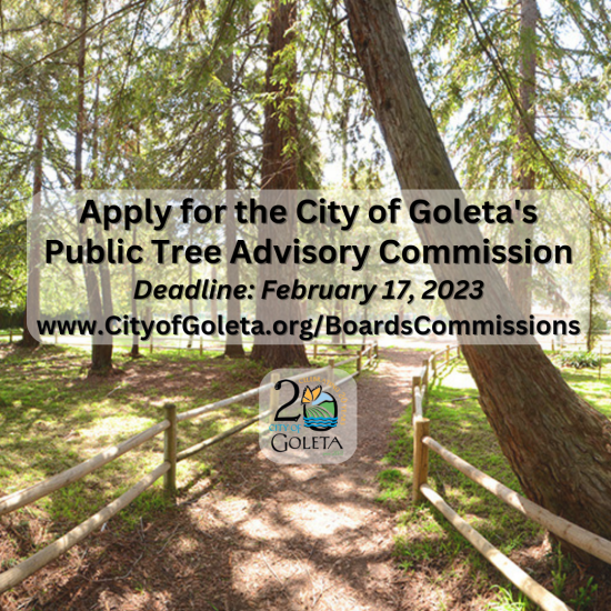 Apply to Be on the City’s Public Tree Advisory Commission The Monarch